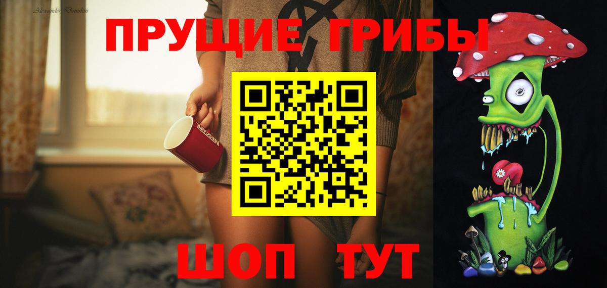 Брянск  Псилоцибиновые грибы GOLDEN TEACHER  Вход с VPN 